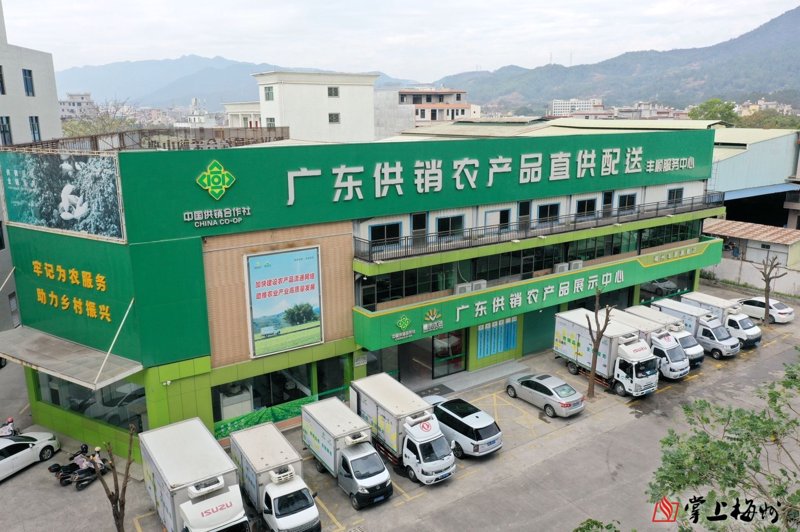 内蒙古杂粮：自然与健康的完美融合