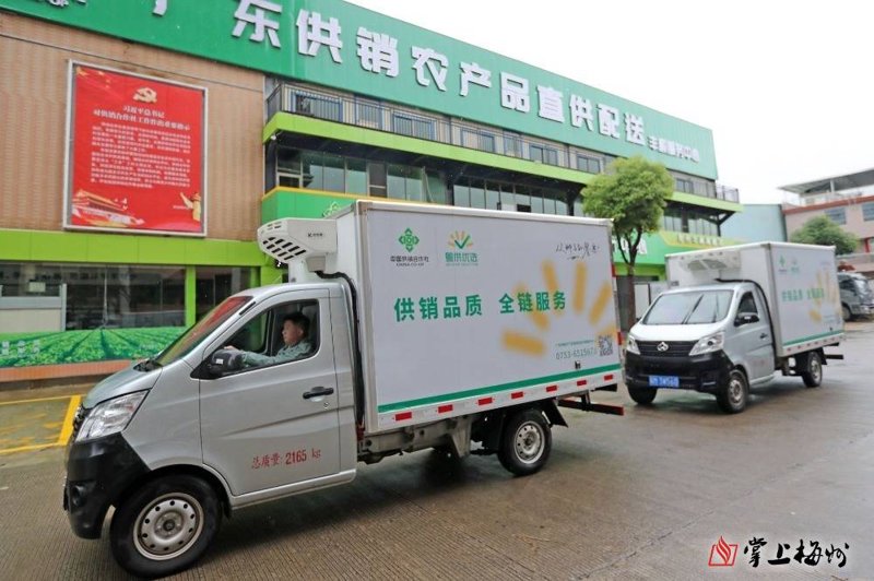 杂粮礼盒定制：传统与现代交融的艺术